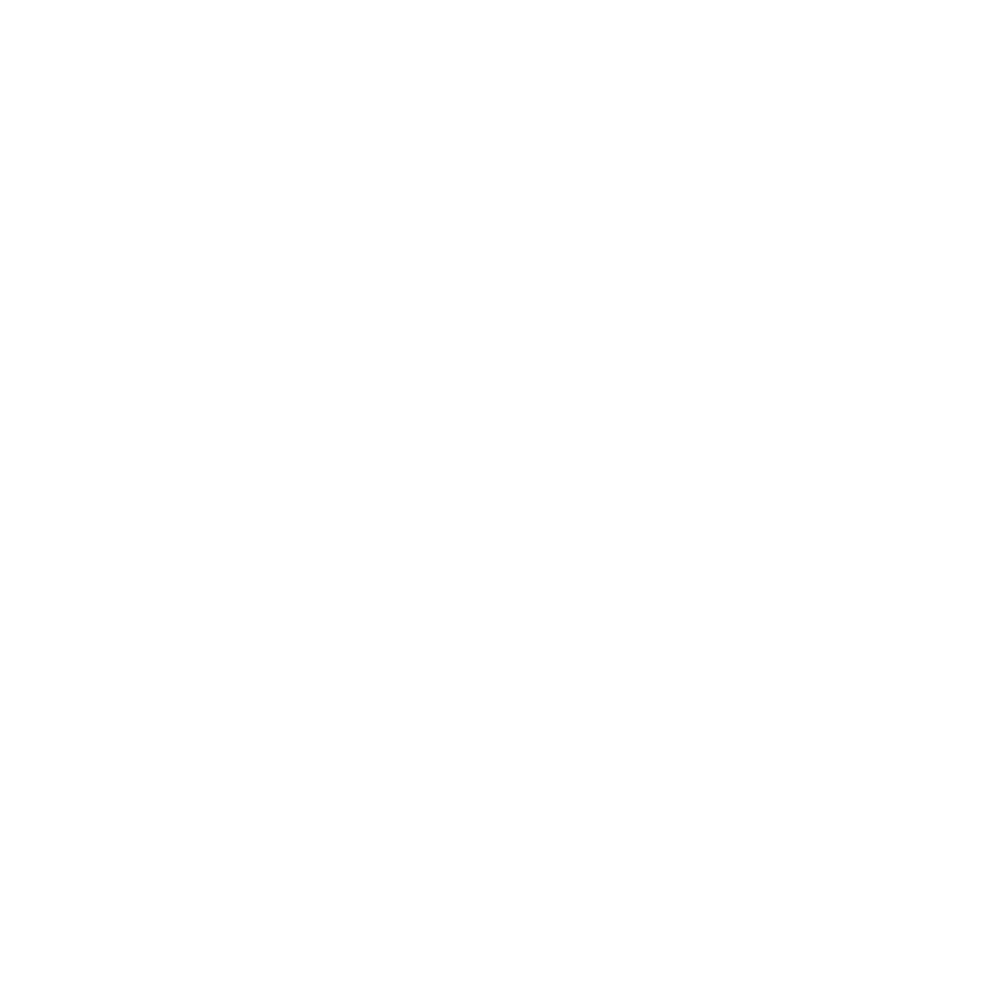 Excelsior System